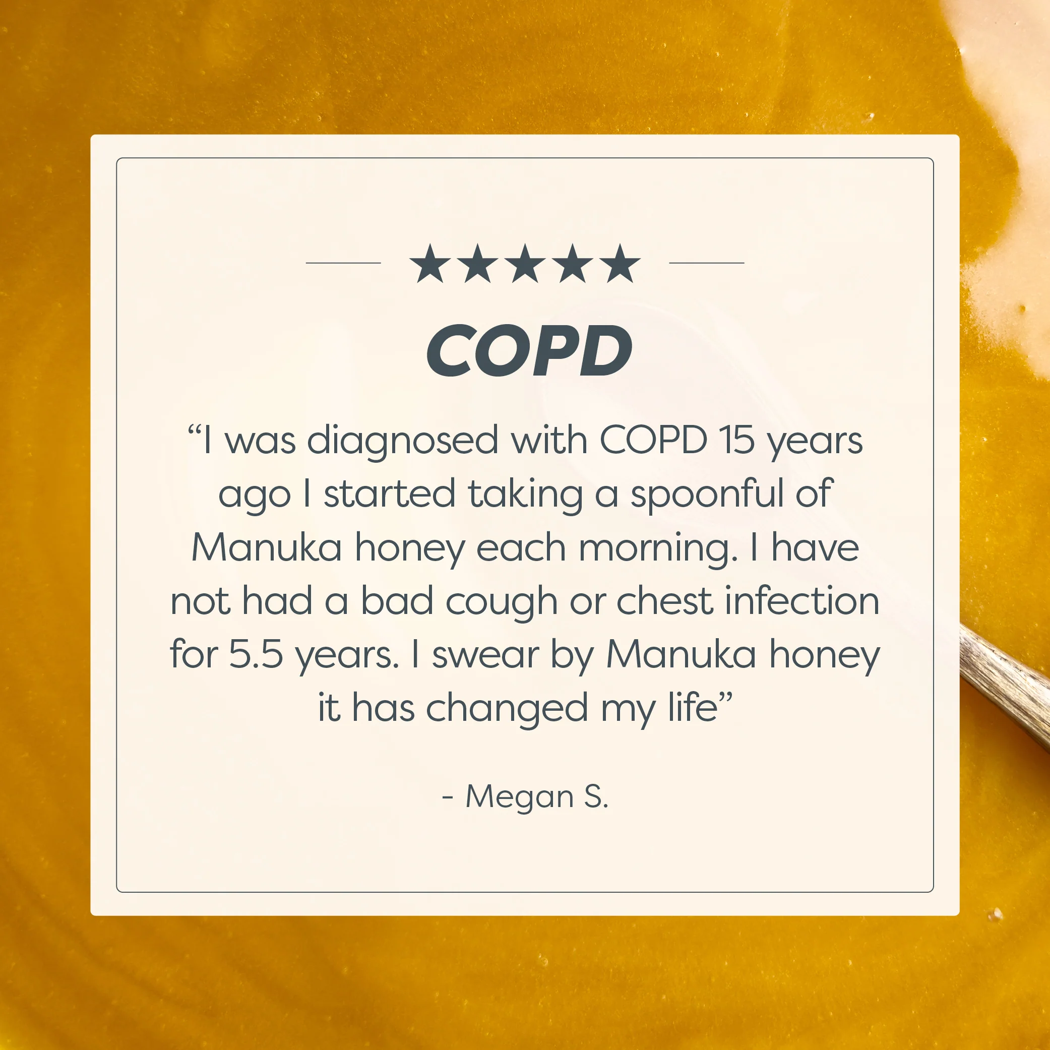 240 MGO Manuka Honey 250g - Monofloral - Image 11