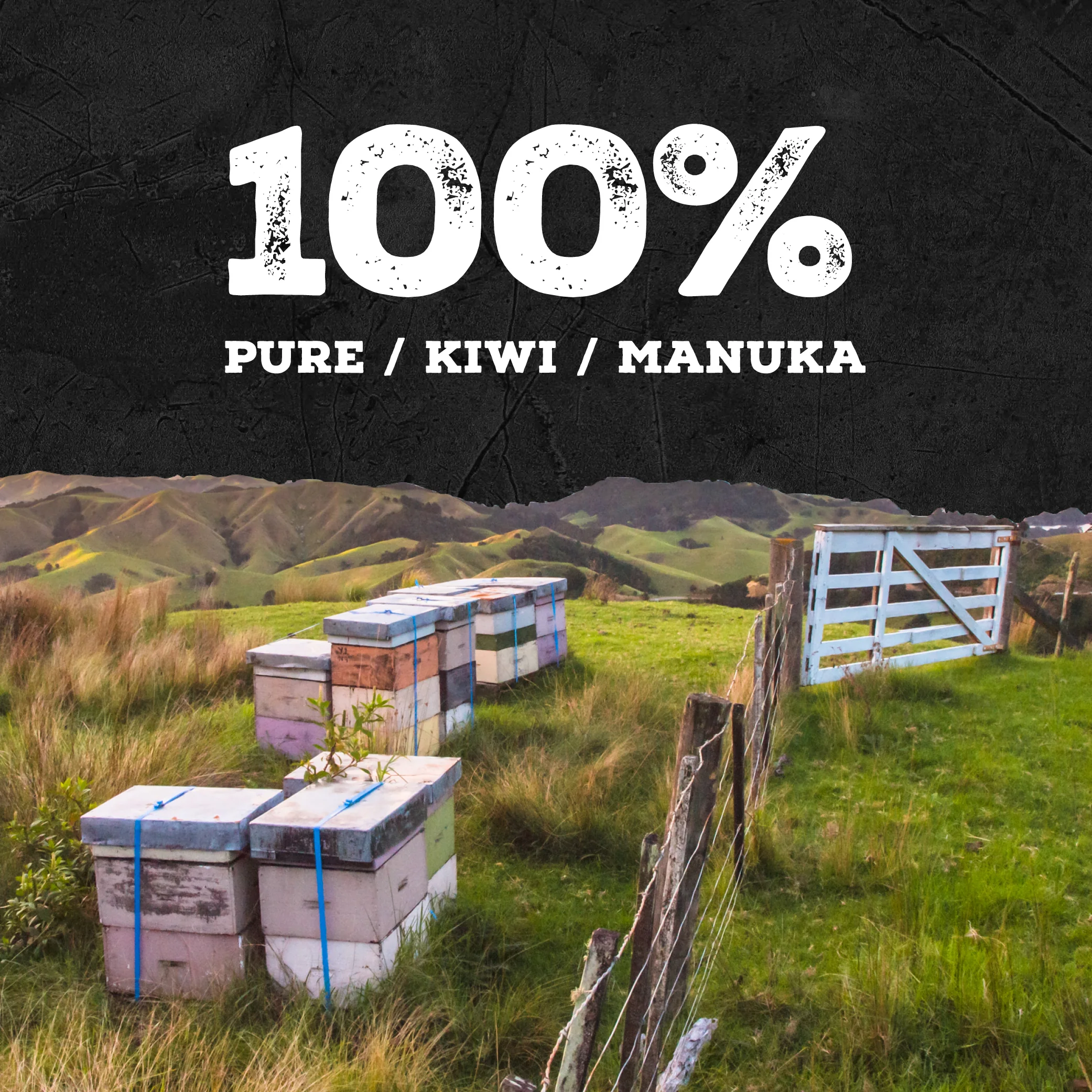 940 MGO Manuka Honey 250g - Monofloral - Image 10