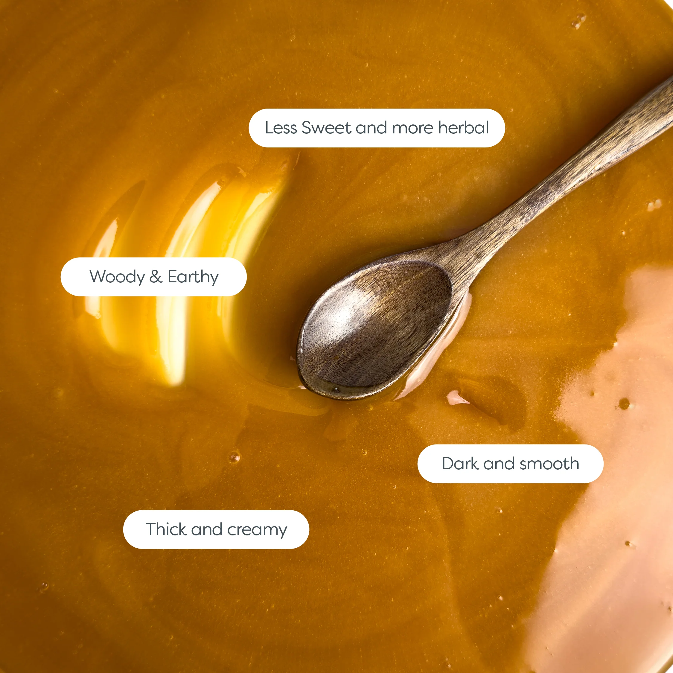 MD x Holger Rune 1000 MGO Manuka Honey 250g - Image 7