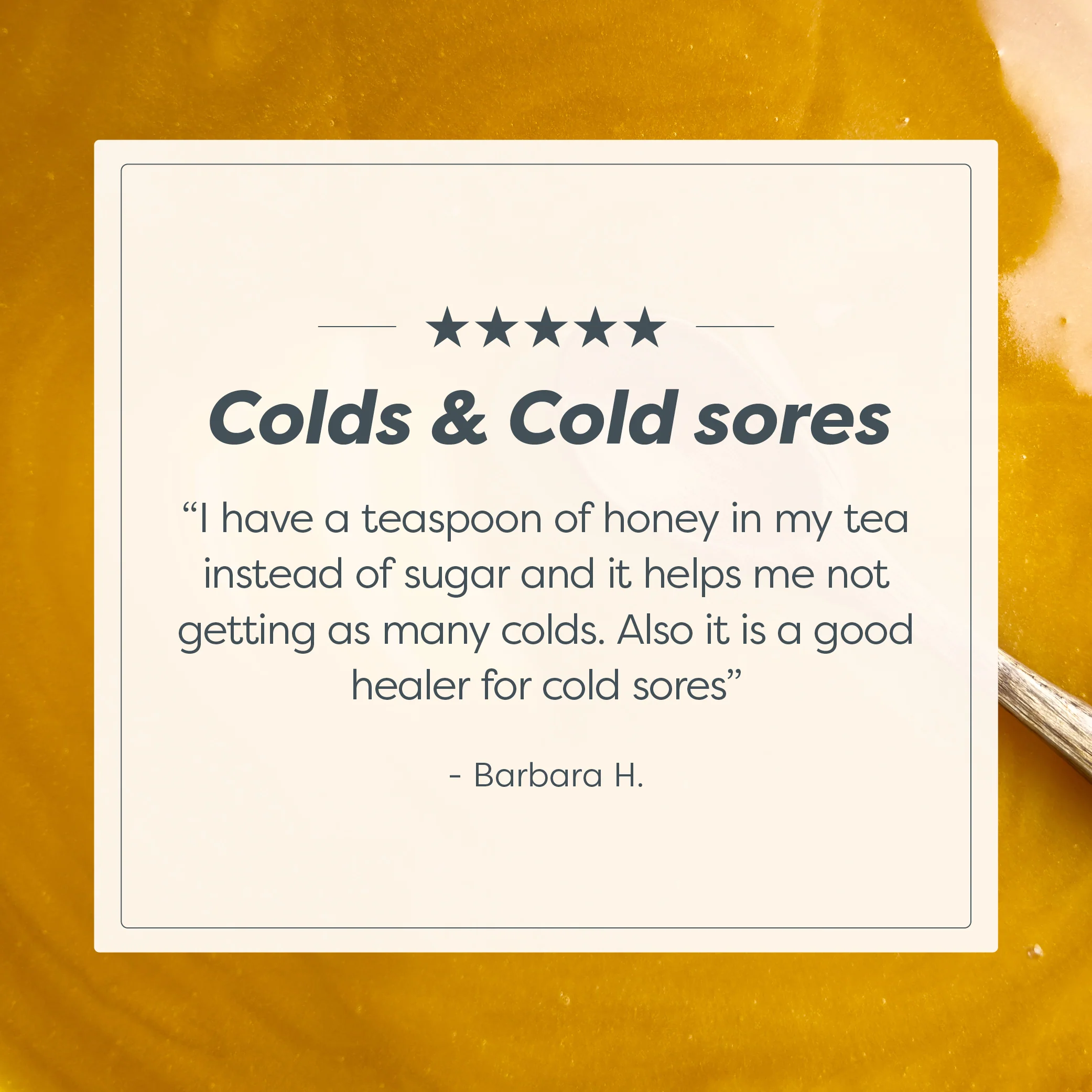55 MGO Manuka Honey 250g - Image 11