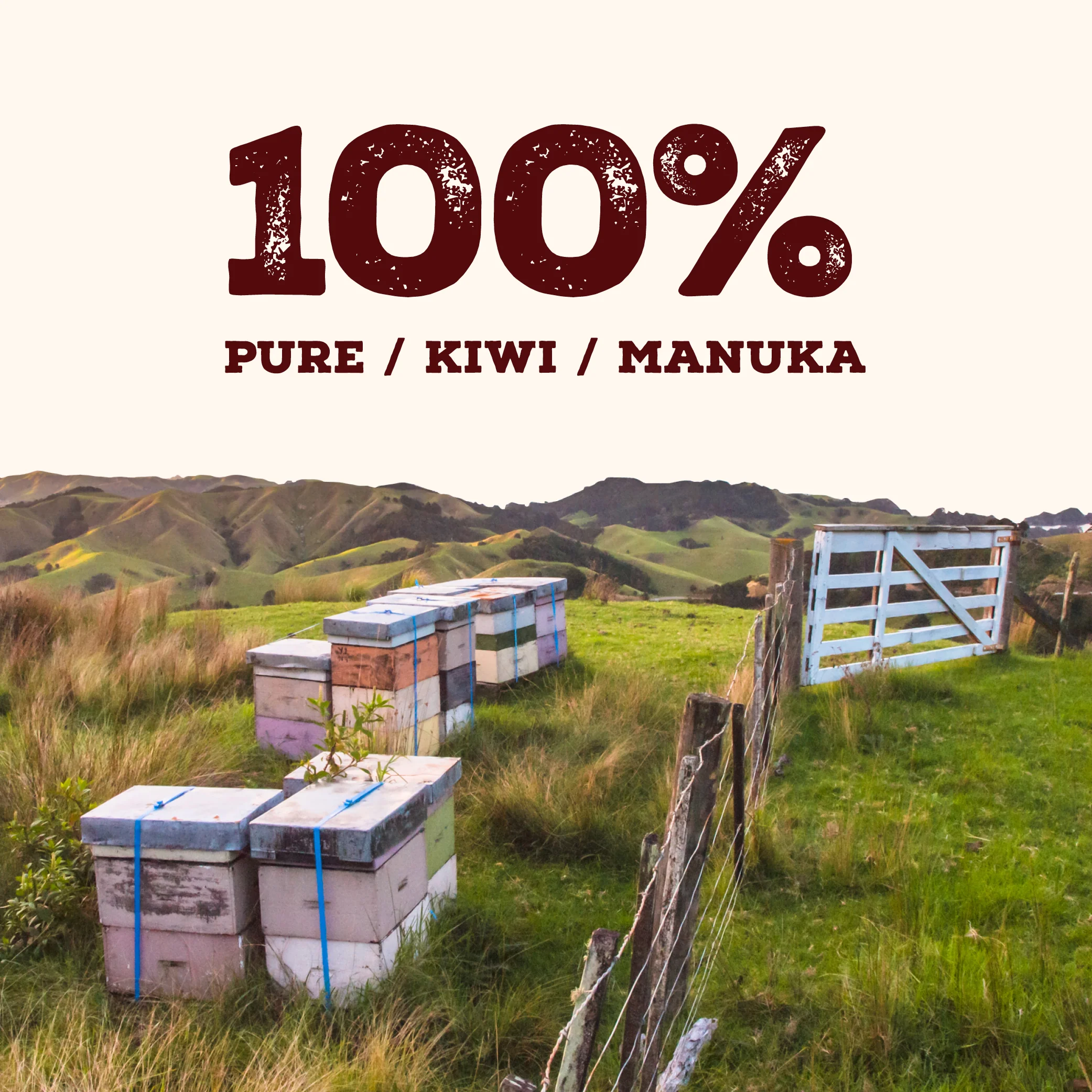 40 MGO Manuka Honey 500g - Image 10