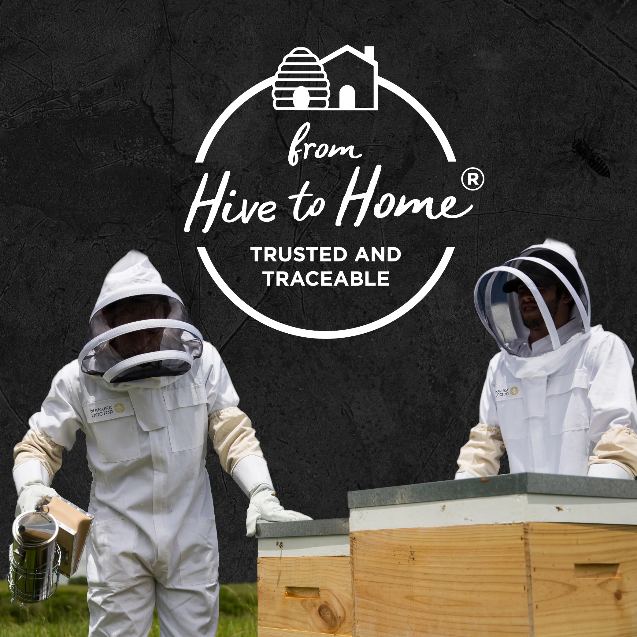 600 MGO Manuka Honey 250g - Image 10