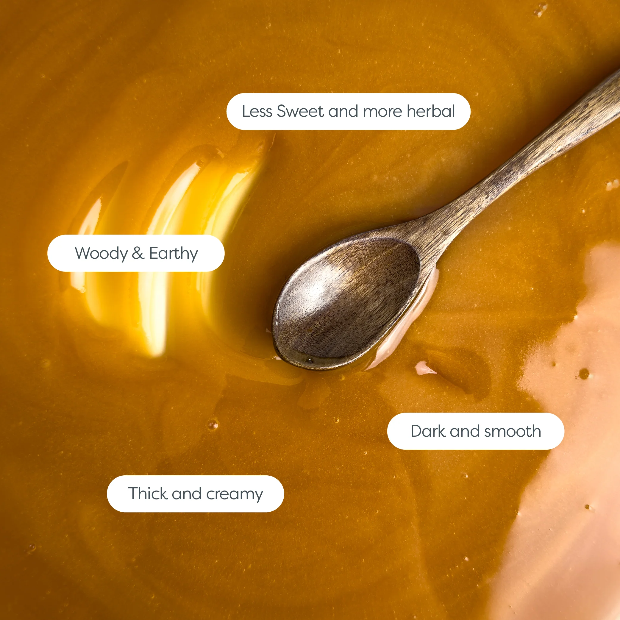 Twin Pack - 640 MGO Manuka Honey 250g - Image 7