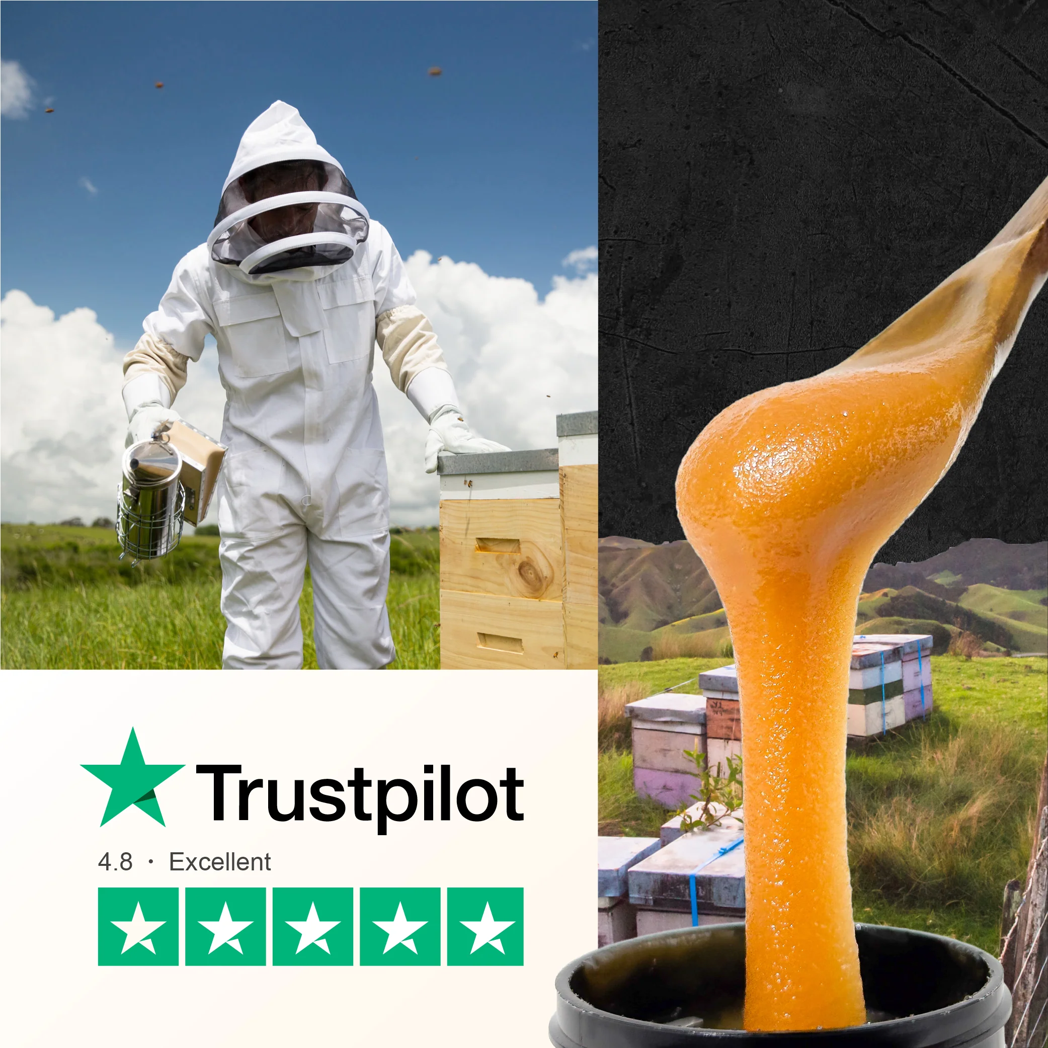 600 MGO Manuka Honey 250g - Image 9